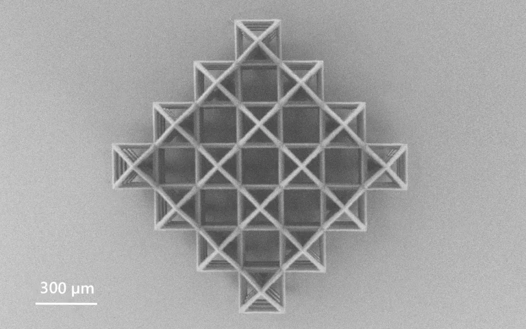 Scanning electron microscope image of photopolymerization sample.