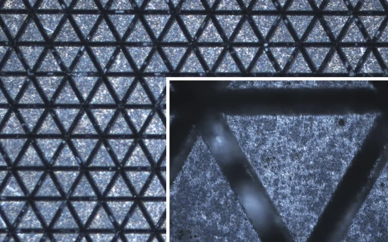 Triangular surface texturing with LIPSS of stainless steel