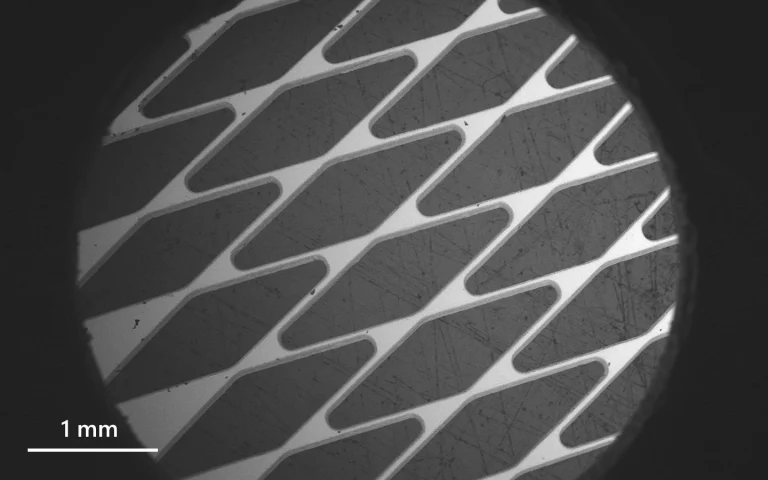 Scanning electron microscope image of processed stainless steel sample.