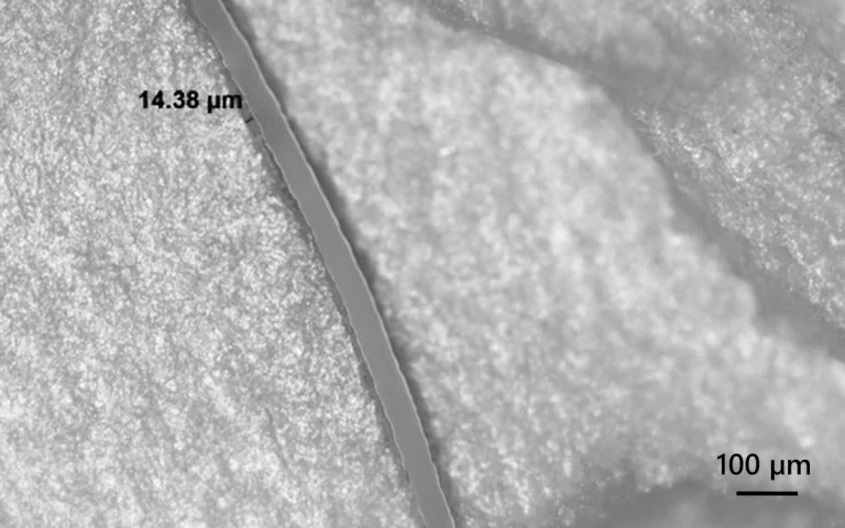 Heat-sensitive organic material cutting.