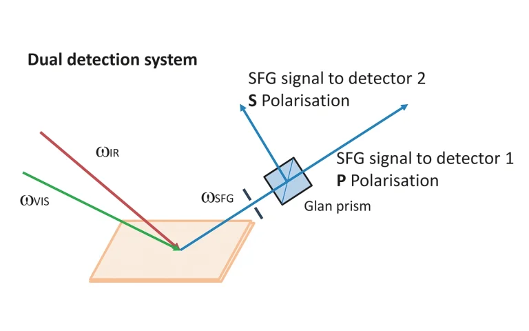 Dual detection system